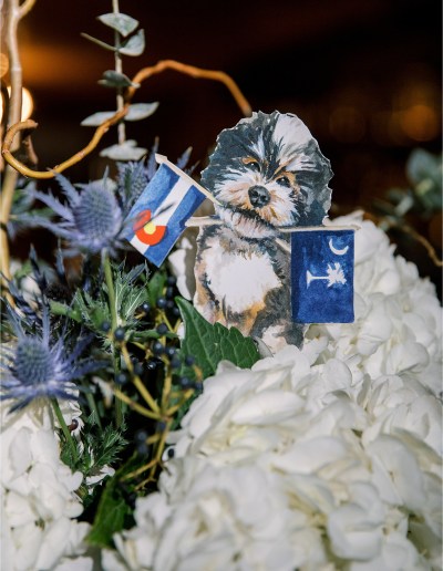 the bride and groom's dog with the state flags for their destination wedding cocktail hour and welcome party