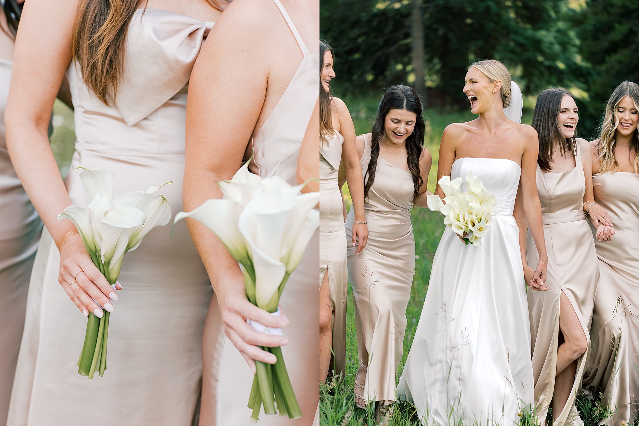 Bride and Groom Portraits